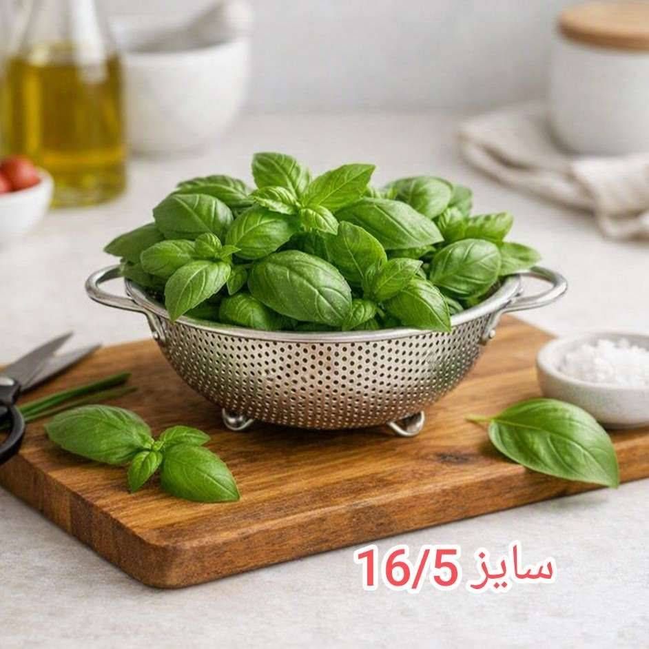 آبکش استیل دسته‌دار سایز16،50کد801041