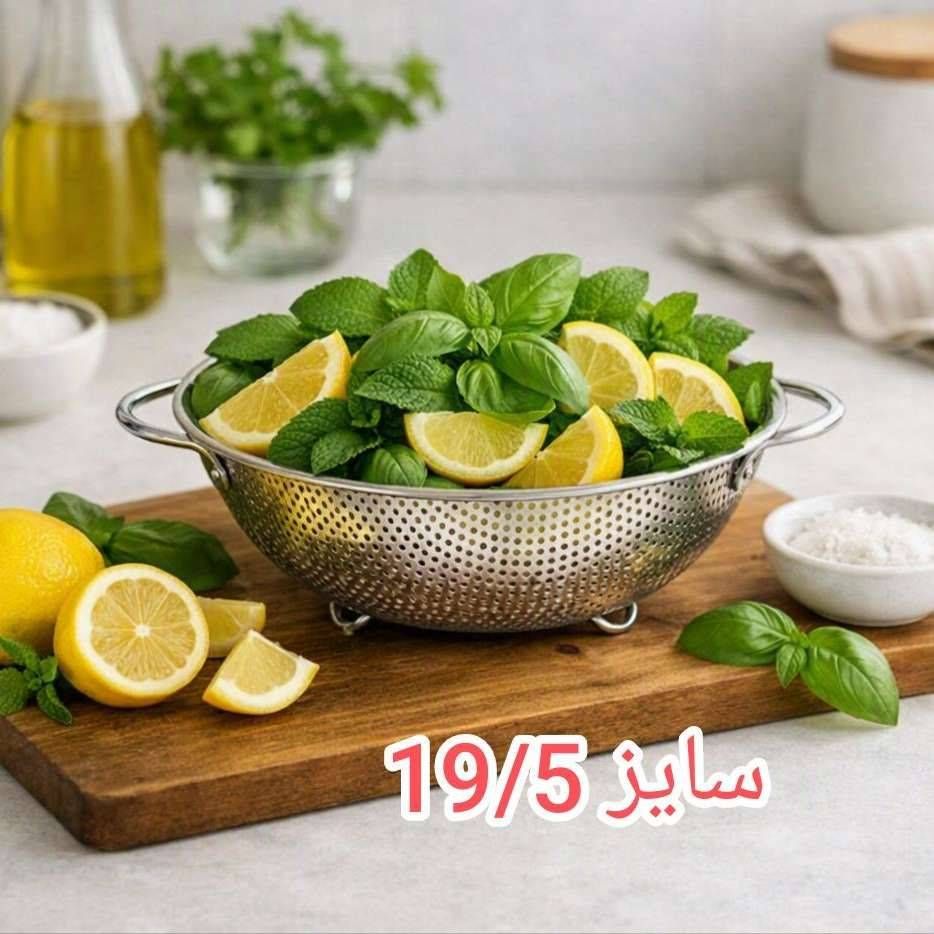 آبکش سته‌دار سایز 19/5کد801042