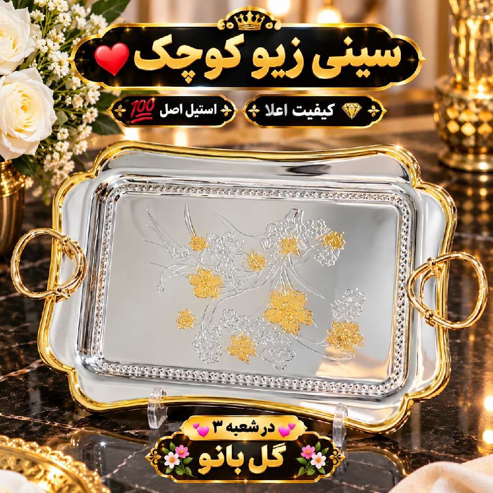 سینی زیو کوچک801155